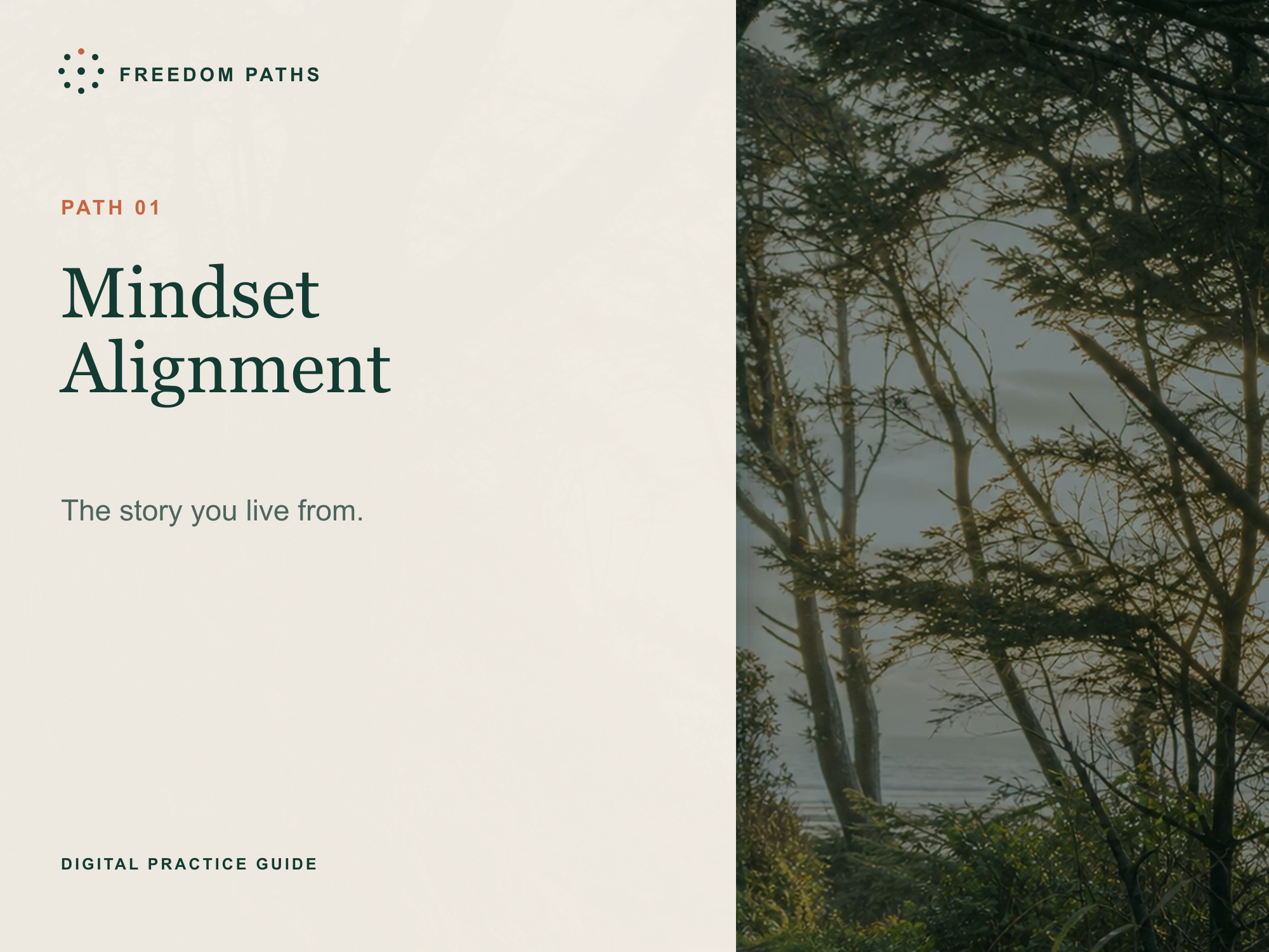 Mindset Alignment digital workbook cover