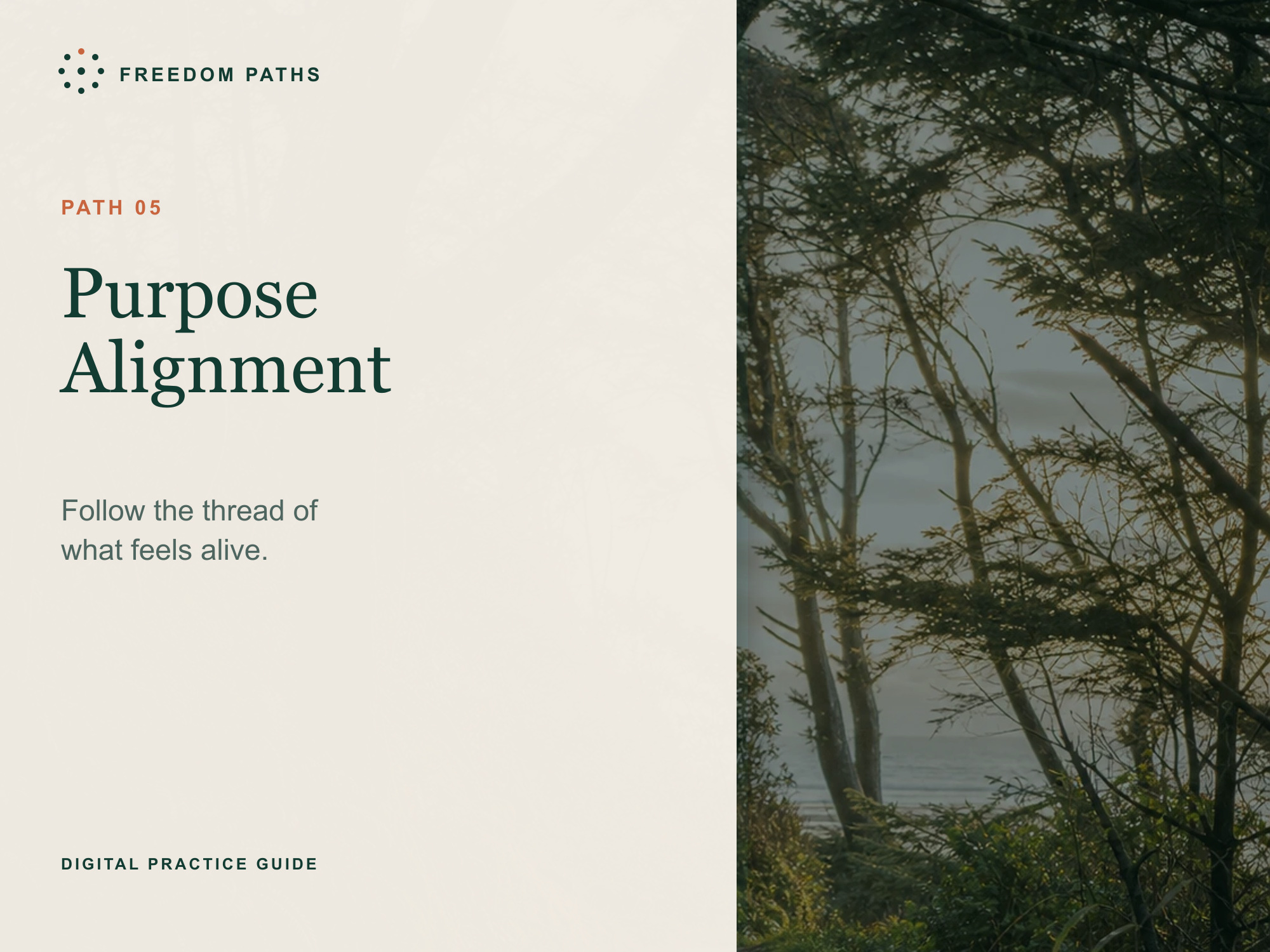 Purpose Alignment digital workbook cover