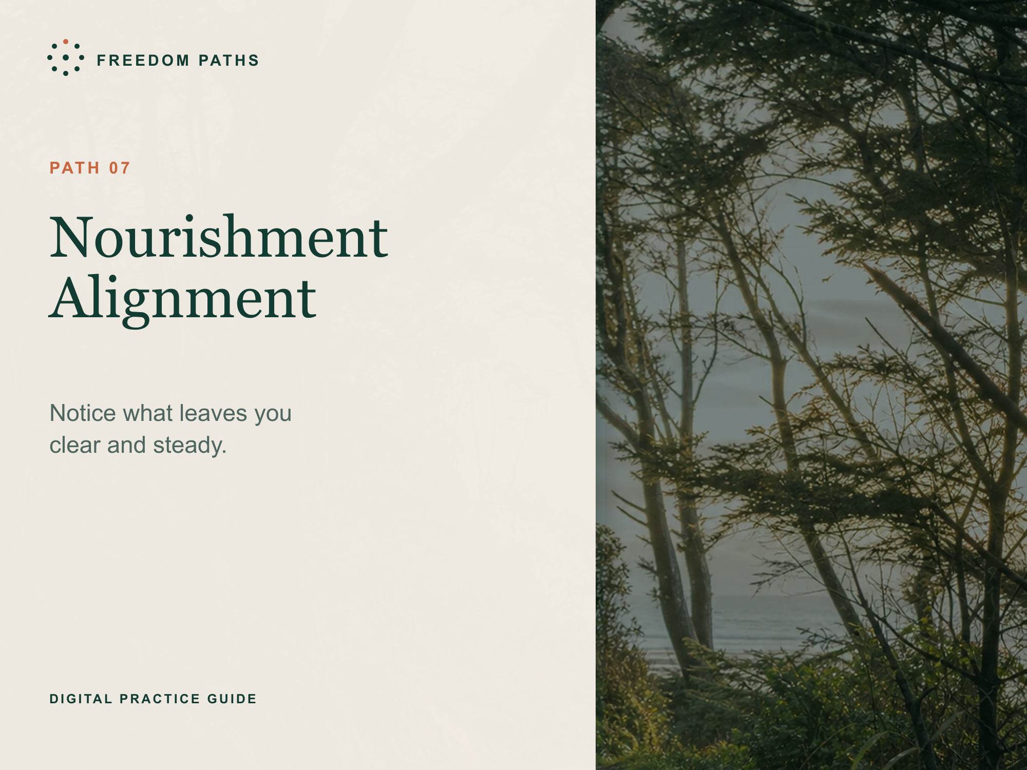 Food and Nourishment Alignment digital workbook cover