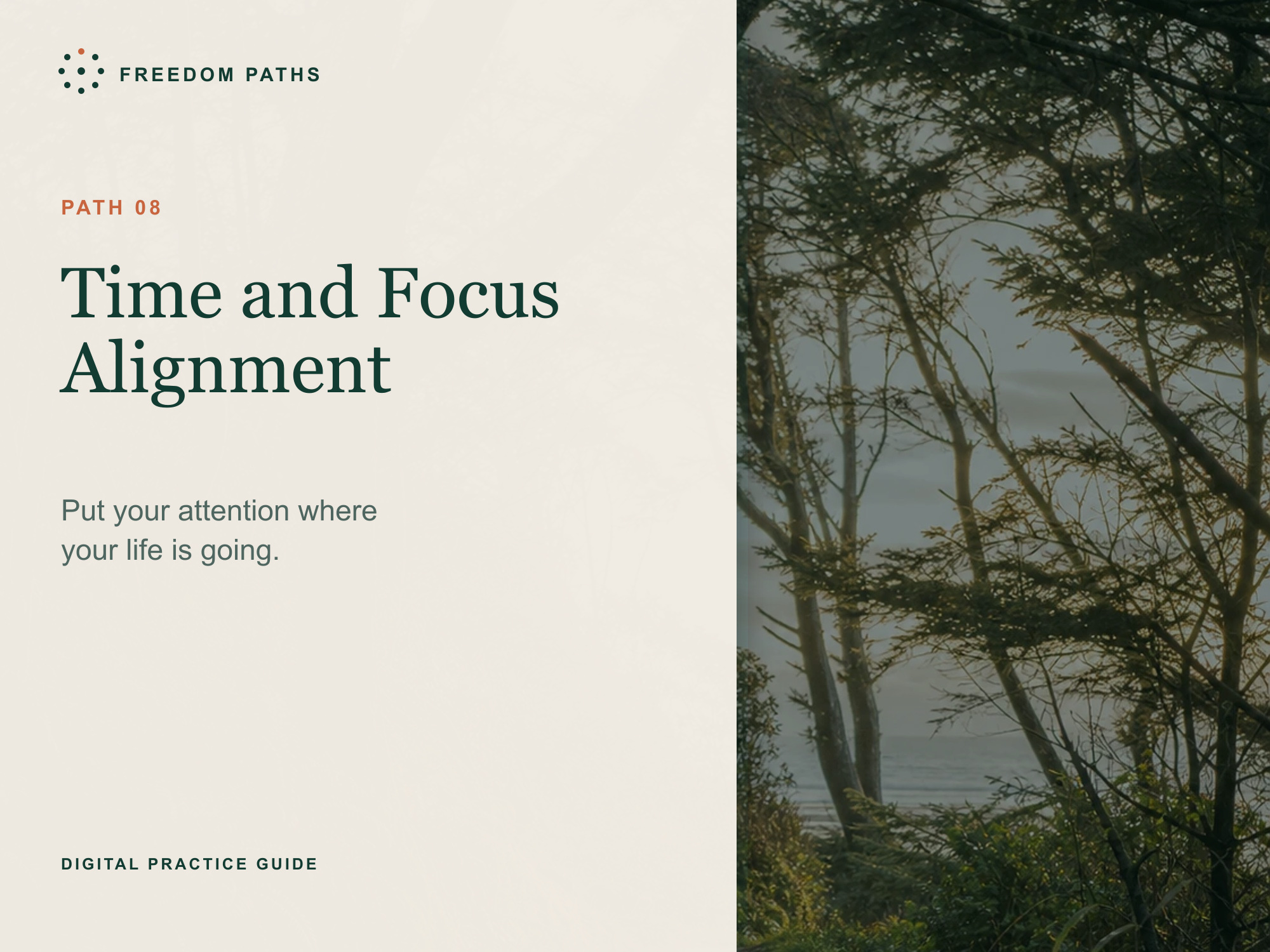 Time and Focus Alignment digital workbook cover